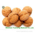 Chinese Nutritive Walnut Kernels Light Pieces (LP)